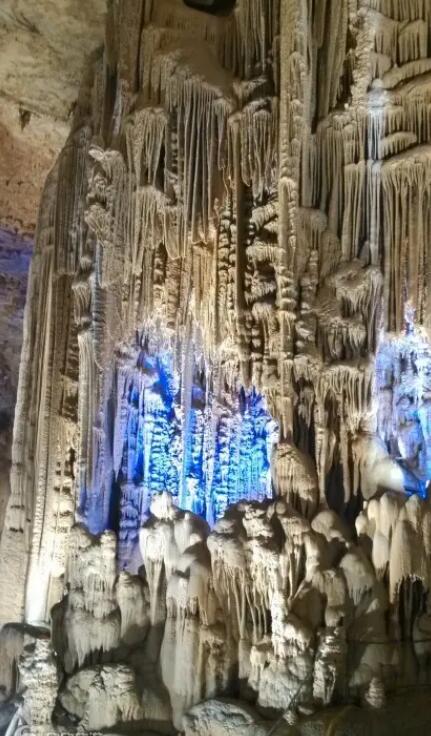 ֯�𶴷羰��ʤ��