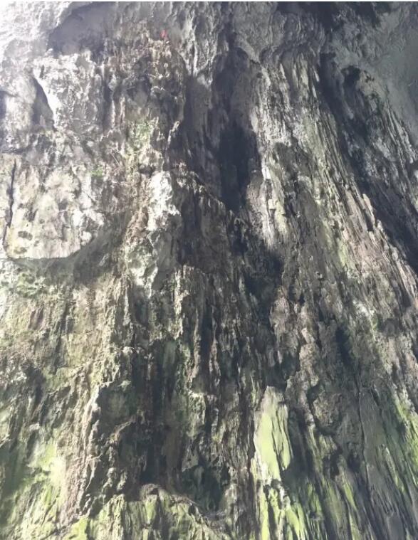 ��˳���Ƹ�͹