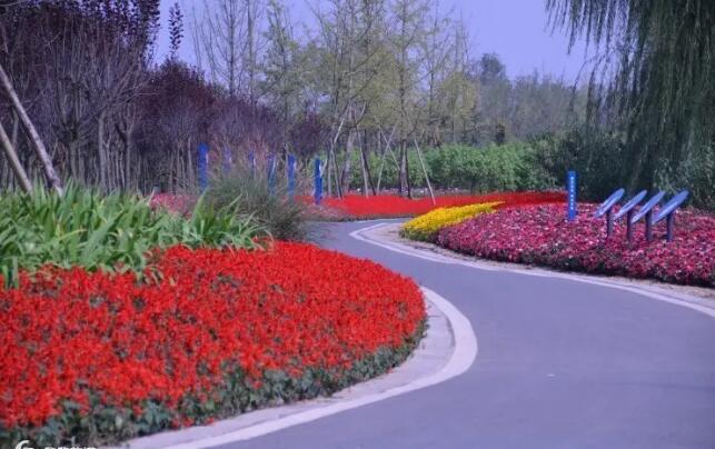 �����д�ɽ����