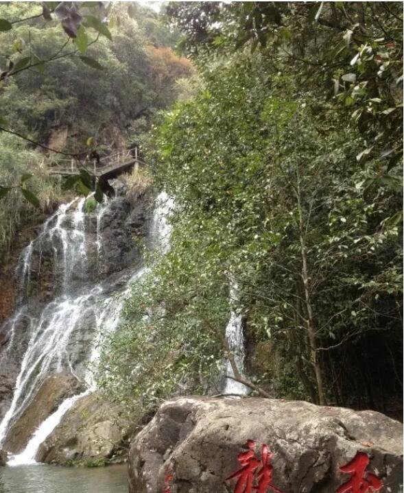 �����Ⱦ���