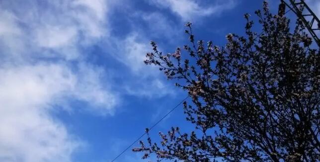 西安白鹿塬滑雪场