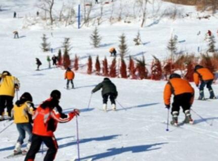 С���Ի�ѩ��