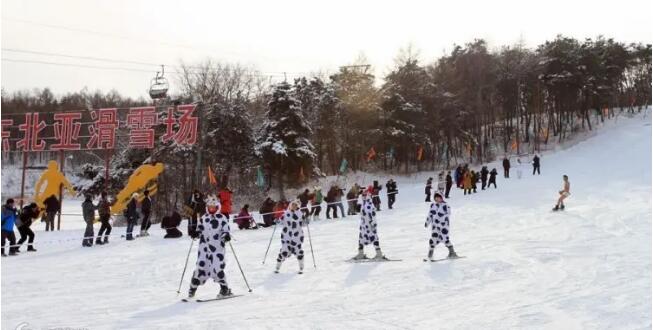 ���������ǻ�ѩ��