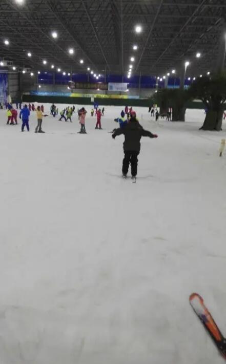 ��ɳ����ֻ�ܱ�ѩ����