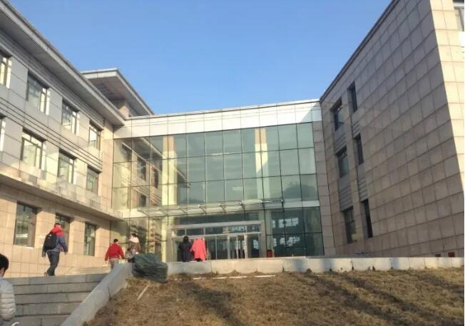 �ǲ������������Ļ�ѩ��