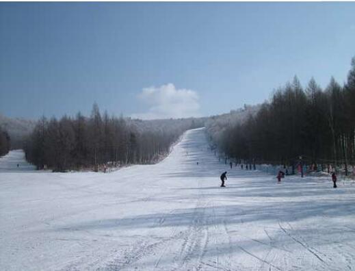 �����������ڼ��ܻ�ѩ��