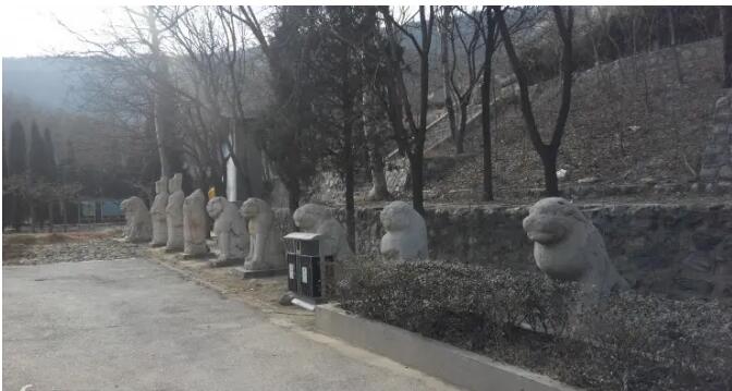 ���Ǻ�Ĺ����