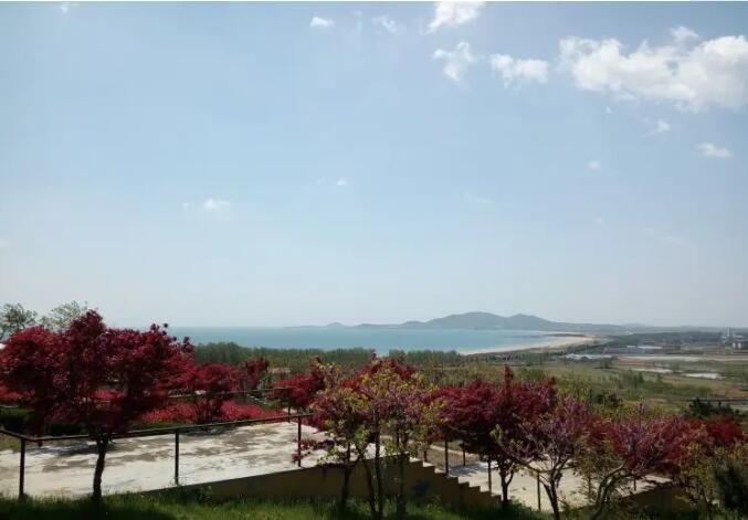 �ൺ��������̨