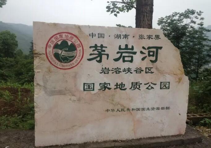 é�ҺӾ��춴����.