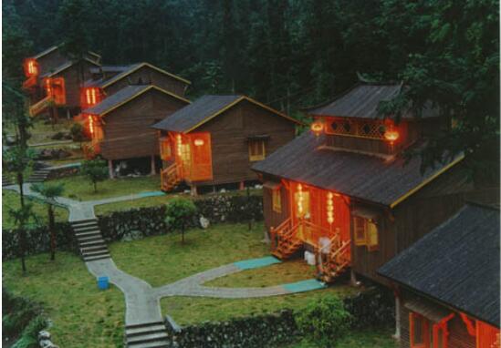 丽水松阳箬寮原始林区