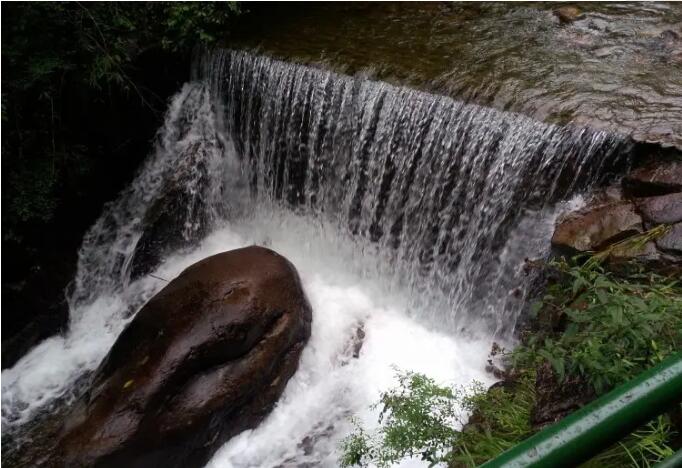 大奇山国家森林公园.