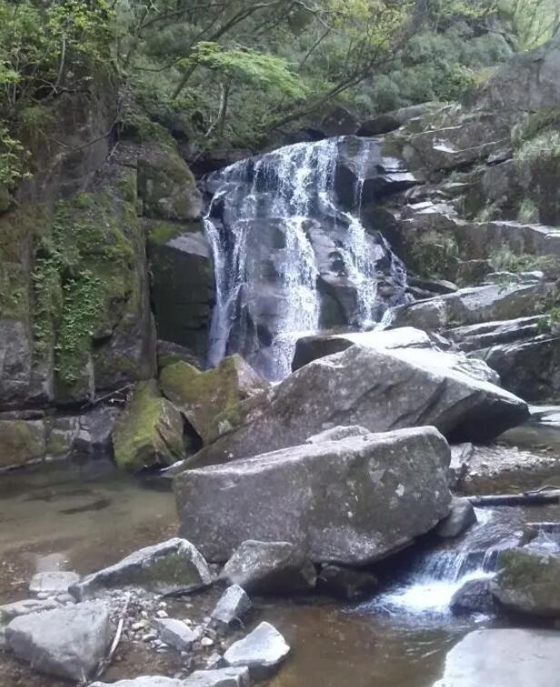 木王国家森林公园.