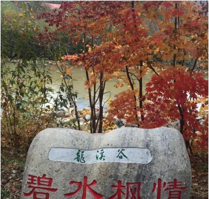 ��Ϫ�Ⱦ���