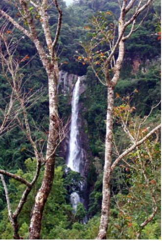 ���ϰ�ɳ�쿲�ٲ�