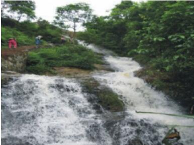 白鹤观竹海旅游度假区