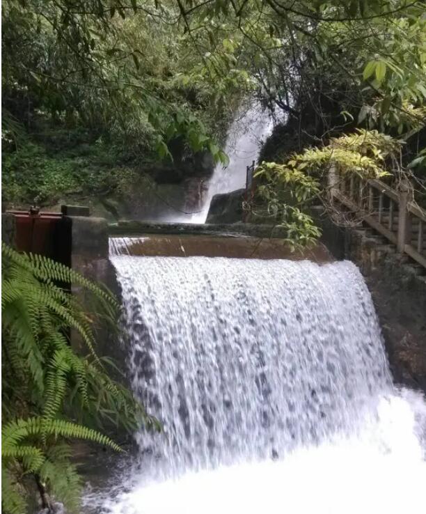 韶关南岭国家森林公园.