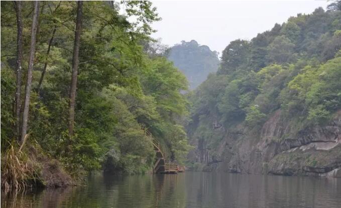 ̩������̶����.