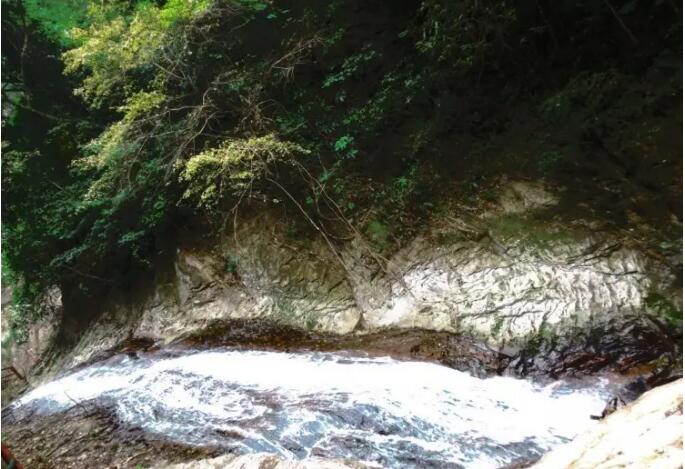 ���������ٲ�