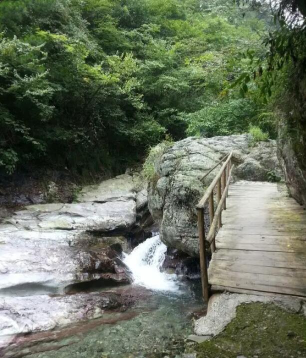 ��Ԣɽ����