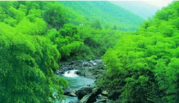 �㶫����Ư��