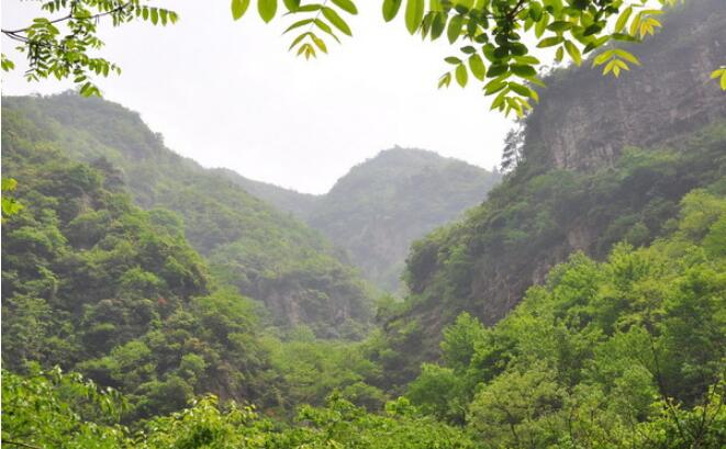 �㱱��Ͽ��.