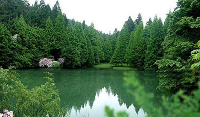 华顶国家森林公园