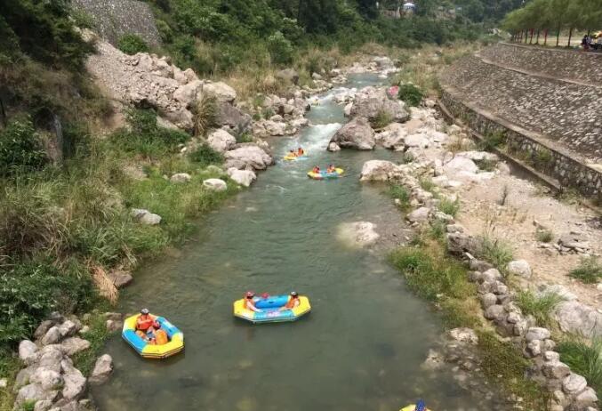 �˲������Ư��