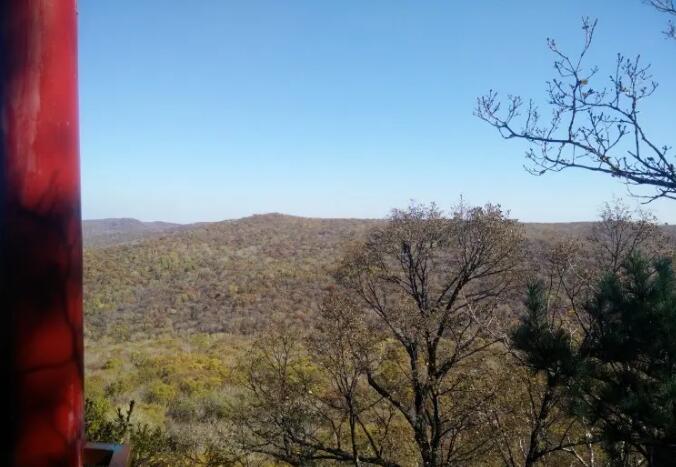 横头山国家森林公园