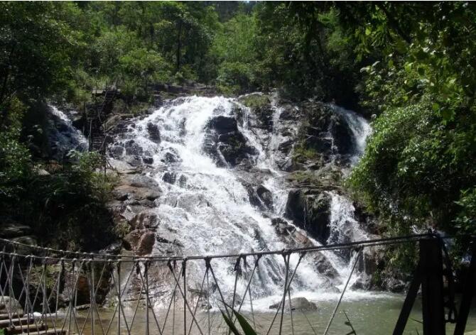 ��յ����ϿƯ��.