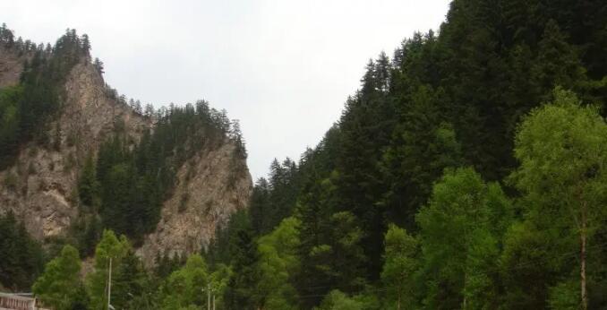 吐鲁沟国家森林公园.