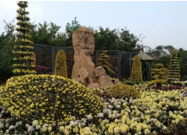 重庆万盛黑山谷..