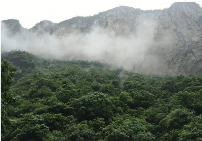 涪陵武陵山大裂谷.