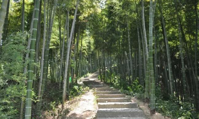 �й����񺣣��Ի����������