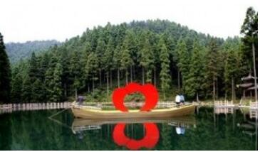 ����ɽ��������ɭ�ֹ�԰.