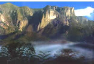 ������ָ��.