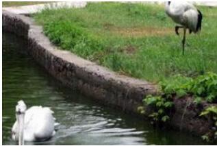 ���ݾ�ɽ����԰.