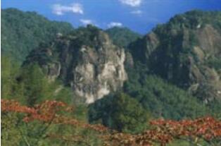 ͭ��ɽɭ�ֹ�԰.