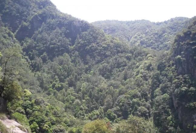 ̨������Ͽ.