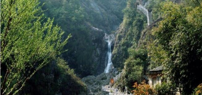 �𰲾���̶��