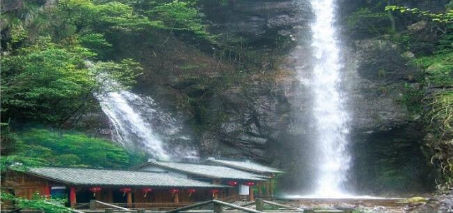 �𰲻��ҹ���ɭ�ֹ�԰��