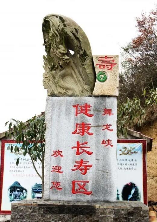 �Ͱ�����Ͽ������