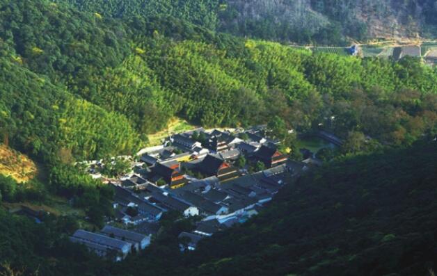 ������ͯɭ�ֹ�԰��