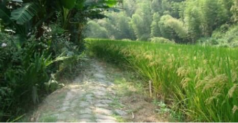 ��ˮ�����Ҿ�����