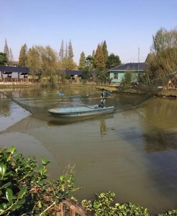 ����Ī��ɽ��