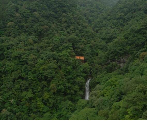 �����Ⱦ�����