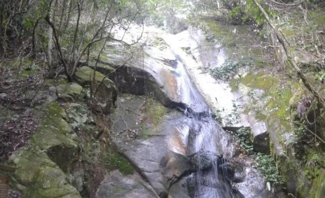 ����ǧ����ɭ�����ɣ�