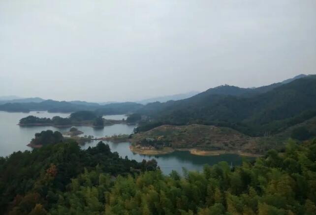 ����ǧ��������ɭ�ֹ�԰��