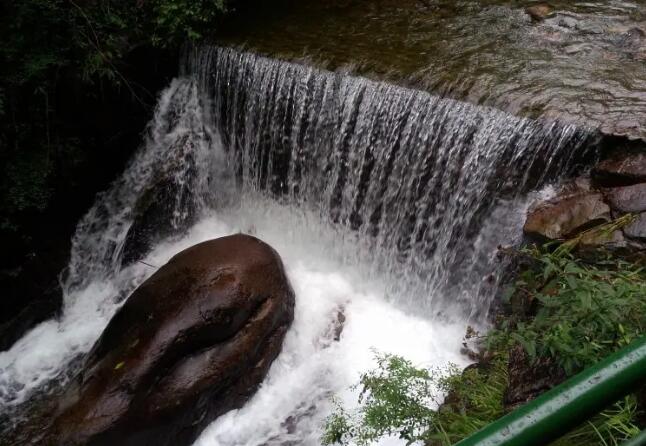 大奇山国家森林公园,