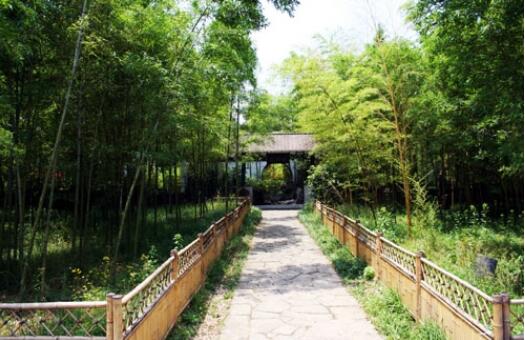 安吉竹子博览园,