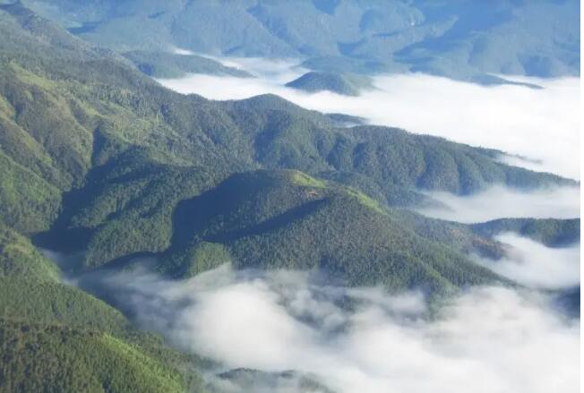 �������ʯ��ѩɽ��